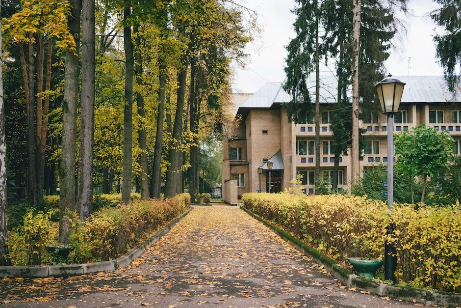 Remonty elewacji budynku