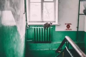 Remonty dachów w blokach